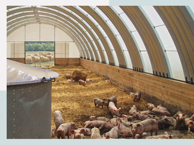 Строительство свинарников в Сергиевом Посаде