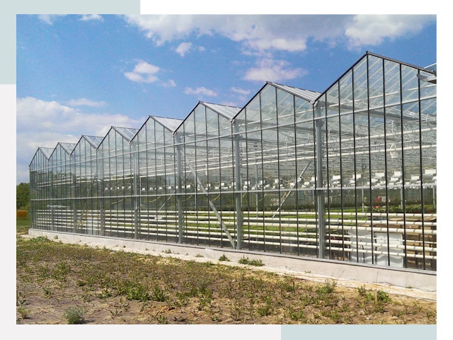 Строительство теплиц в Сергиев Посад от 614 руб. за м²