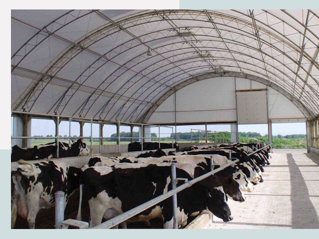 Тентовые коровники в Сергиевом Посаде